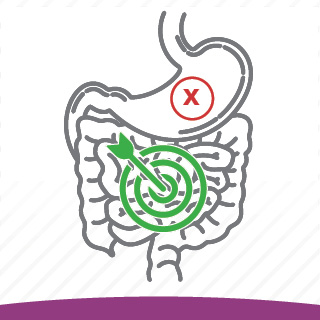 OmneDiem_Histamine_Digest_Puremax_DAOgest_targeted_release OmneDiem Histamine Digest Puremax Digest intestines