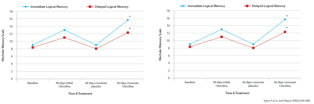 Brain_Support_memory Brain Support Memory