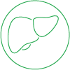liver_icon_green Liver Health