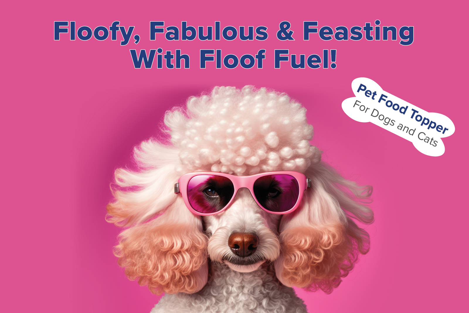 Floof_Header OmneDiem Floof Fuel Poodle