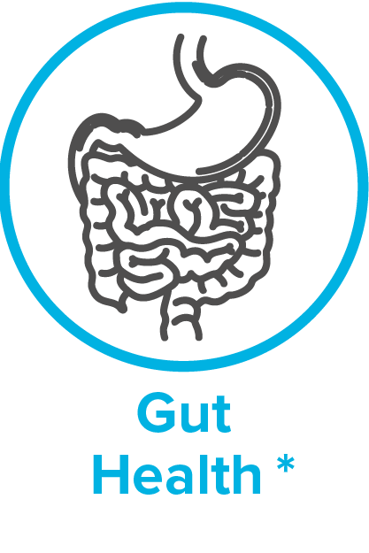 200x300_gut_health