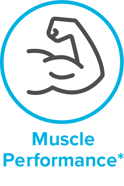 200x300_muscle_performance